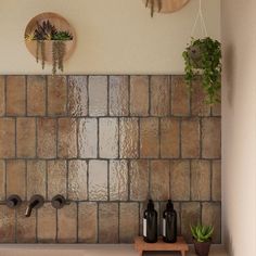 some plants are hanging on the wall above a sink in a tiled room with brown tiles