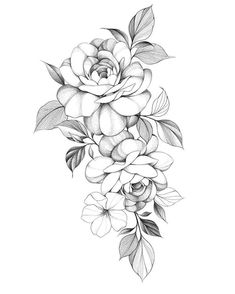 a black and white drawing of flowers with leaves on the bottom half of each flower