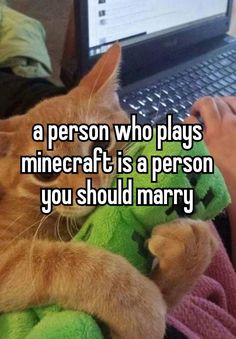 a person who plays minecraft is a person you should marry