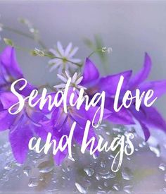 purple flowers with the words sending love and hugs