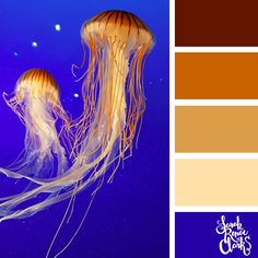 an image of a jellyfish in the water with color swatches to choose from