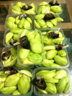 several plastic containers filled with green bananas