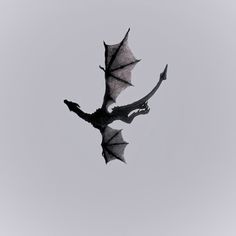 a black and white photo of a dragon flying in the sky