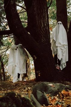 two white ghost costumes hanging from trees in the woods with rocks and leaves around them