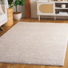 a living room with a white rug on the floor and a plant in the corner