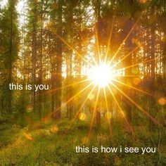 quote, love, life quote, soft quote, aesthetic Gold Forest Aesthetic, Sun Ray Photography, Sun Beam Aesthetic, Sunshine Through Trees, Sun Images Nature, Sunny Forest Aesthetic, Sun Astethic, Sun Rays Aesthetic, Sunrise In Forest