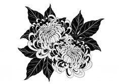 black and white flowers with leaves on a white background stock photo, flower drawing, art drawings