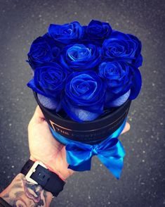 a person holding a blue bouquet of roses