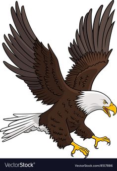 an eagle flying in the air with its wings spread out and it's talon extended