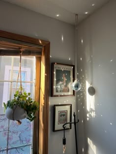 a room with a window and some pictures on the wall next to a potted plant