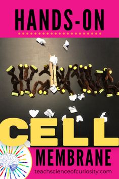 hands - on cell membrane craft for kids with text overlaying the words, hand - on cell membrane