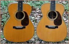 two guitars sitting side by side on the ground in front of some grass and leaves