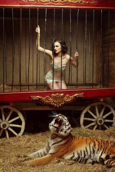 a woman in a cage with a tiger laying on the ground next to her,