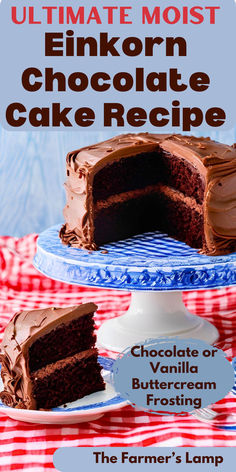 the ultimate moist chocolate cake recipe on a blue and red checkered tablecloth with text overlay