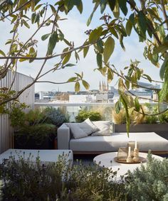 an outdoor living area with couches, tables and potted plants on the roof