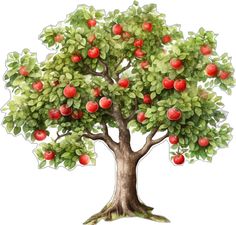 an apple tree with lots of red apples on it