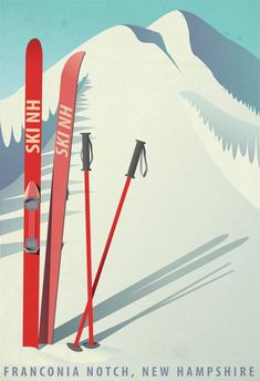 there are two skis and poles in the snow