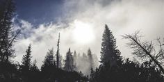 the sun is shining through the clouds over some trees on a mountain side with snow