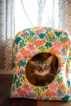 a cat is sitting in a colorful kitty bed