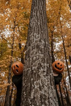 two jack o lantern pumpkins are sitting on the trunk of a tree