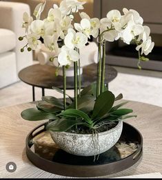 some white flowers are in a bowl on a coffee table with two tables behind it