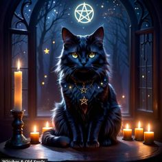 a black cat sitting on top of a table next to candles and a pentagramil