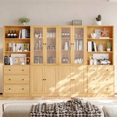 a living room filled with furniture and lots of books on top of wooden bookcases