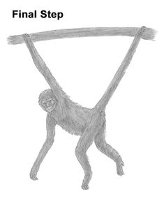 a drawing of a monkey hanging from a rope with the words final step written below it