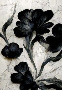 some black flowers on a white marble wall