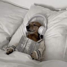 a dog is laying in bed with headphones on and reading a book while listening to music