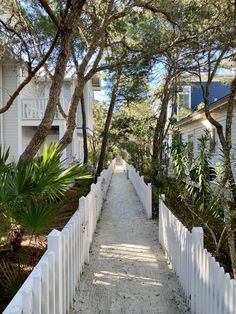 a white picket fence and trees line the path to two story beach homes in charleston, sc