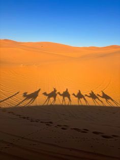 four people riding camels in the desert with their shadows on the sand and one person walking behind them