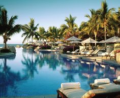 an outdoor swimming pool with lounge chairs and umbrellas next to the water in front of palm trees