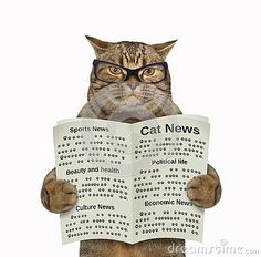 a cat wearing glasses is holding up a newspaper with the words cat news written on it