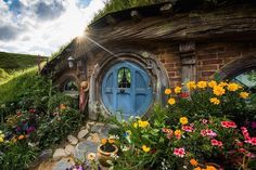 an image of a house that is in the grass with flowers around it and sun shining through