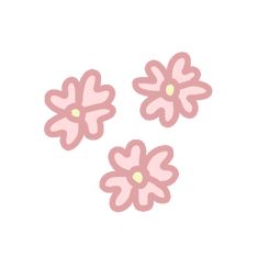 three pink flowers on a white background