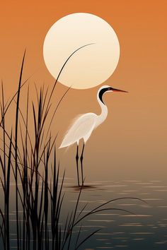 a white bird standing on top of a body of water next to tall reeds