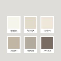 A color palette of neutral white, beige, brown and cream tones. Perfect for home deco and paintings. Aesthetic Color For Bedroom Wall, Beige Vanilla Aesthetic, Vanilla Aesthetic Room Decor, Vanilla House Aesthetic, Beige And White Colour Palette, Vanilla Room Color, Cream Room Bedroom Paint Colors, Vanilla Ideas Bedroom, Light Color Bedroom Ideas Colour Schemes