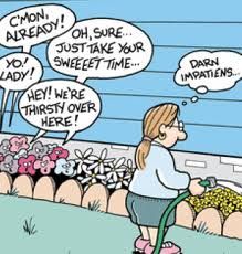 a cartoon depicting a woman vacuuming the yard with her lawn mower and saying, off the mark com