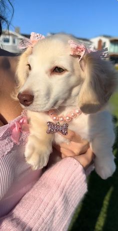 a woman holding a white dog wearing a pink bow tie and pearls on it's collar