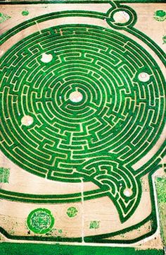 an aerial view of a maze in the ground