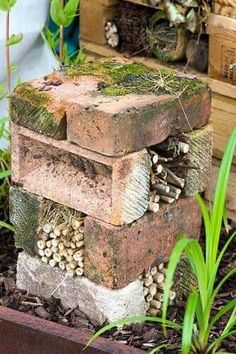 several bricks stacked on top of each other with plants growing out of them and rocks in the middle