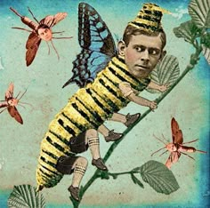 Pet Caterpillar, Caterpillar Illustration, Caterpillar And Butterfly, Dadaism Art, Caterpillar Art, Collage Illustrations, Surreal Collage Art, Nature Collage, Collage Art Projects