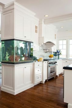 a fish tank sitting on top of a kitchen counter next to a sink and oven