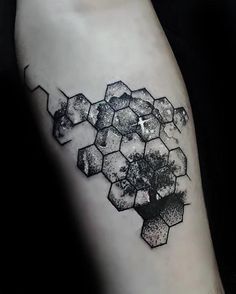 a black and white photo of a tree with hexagons on the arm