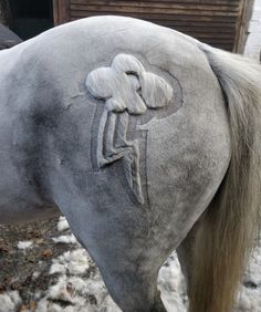 a close up of a horse's head in the snow