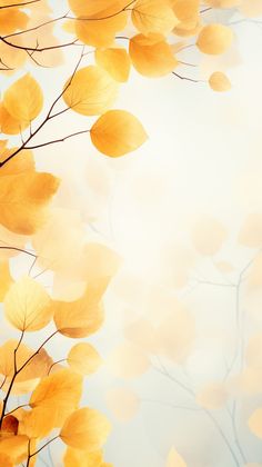 yellow leaves are shown against the blue sky