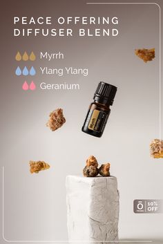 November is month of Gratitude, and this diffuser blend featuring Myrrh is perfect to be diffused when you are feeling grateful. Enjoy 10% OFF Myrrh 5 mL all month long while supplies last, and make your home smell warm every day of the season. Month Of Gratitude, Myrrh Essential Oil, Myrrh Oil, Mouth Rinse, Feeling Grateful, Home Smell, Steam Distillation