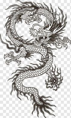 a black and white drawing of a dragon on a transparent background, with no background