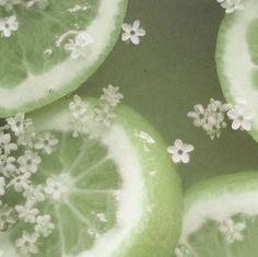 several slices of limes with white flowers on them